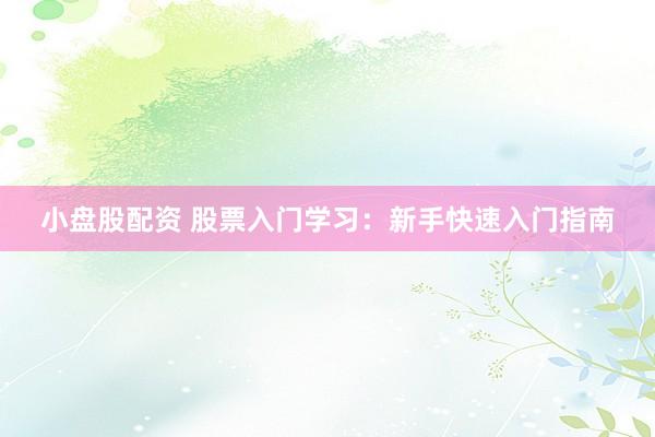 小盘股配资 股票入门学习：新手快速入门指南
