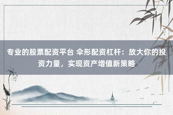 专业的股票配资平台 伞形配资杠杆：放大你的投资力量，实现资产增值新策略