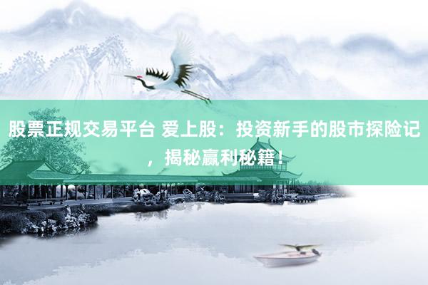 股票正规交易平台 爱上股：投资新手的股市探险记，揭秘赢利秘籍！