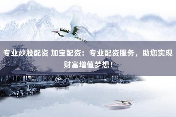 专业炒股配资 加宝配资：专业配资服务，助您实现财富增值梦想！