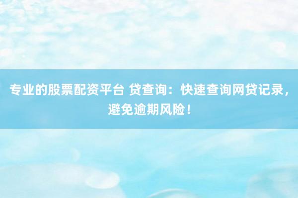 专业的股票配资平台 贷查询：快速查询网贷记录，避免逾期风险！
