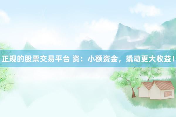 正规的股票交易平台 资：小额资金，撬动更大收益！