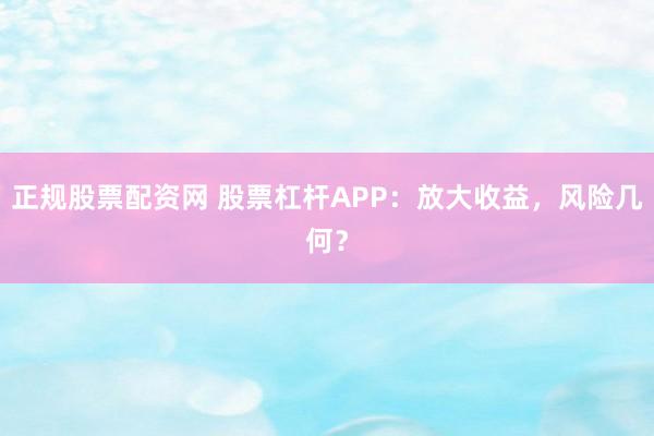 正规股票配资网 股票杠杆APP:放大收益,风险几何?