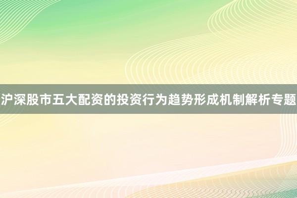 沪深股市五大配资的投资行为趋势形成机制解析专题