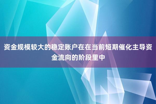 资金规模较大的稳定账户在在当前短期催化主导资金流向的阶段里中