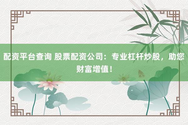 配资平台查询 股票配资公司：专业杠杆炒股，助您财富增值！
