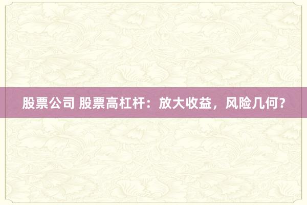 股票公司 股票高杠杆：放大收益，风险几何？