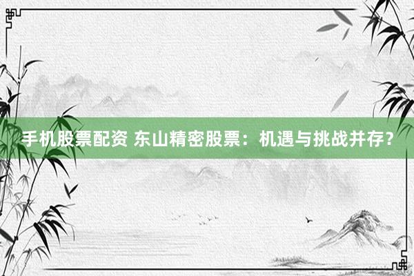 手机股票配资 东山精密股票:机遇与挑战并存?