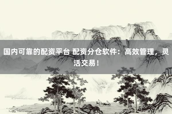 国内可靠的配资平台 配资分仓软件：高效管理，灵活交易！